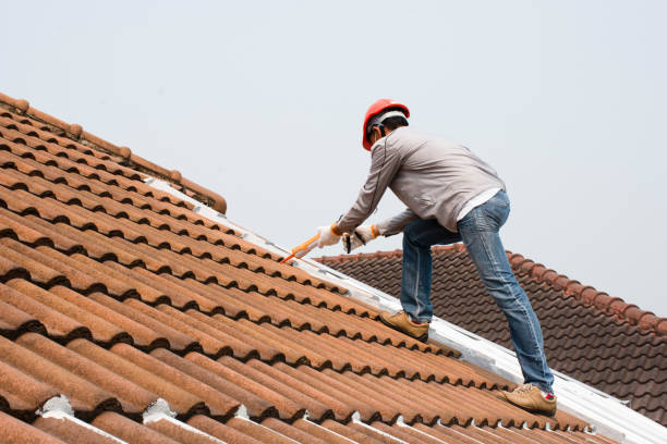 Best Rubber Roofing (EPDM, TPO)  in Dyersville, IA