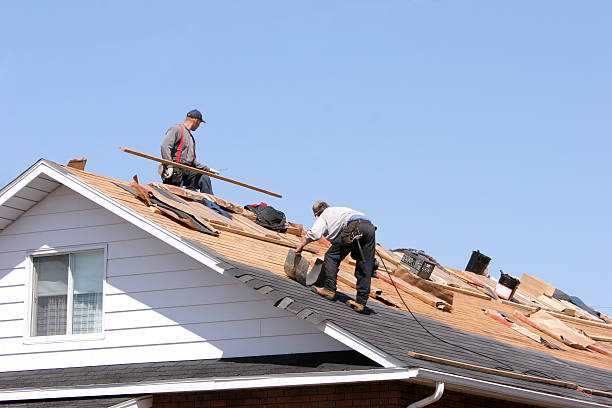 Best Solar Panel Roofing Installation  in Dyersville, IA